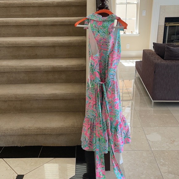 Lilly Pulitzer Patterned Dress with Collar - Picture 10 of 11